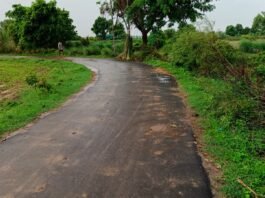चंदौली के चहनियां में मनरेगा कार्यों में अनियमितता का आरोप, सड़क किनारे सफाई-मिट्टी कार्य सिर्फ कागजों में होने का दावा